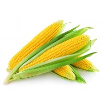 Corn Sweet - unpeeled 