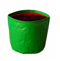 Grow Bag (12 by 12) for Vegetables