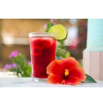 Hibiscus Juice Concentrate (WITHOUT SUGAR)