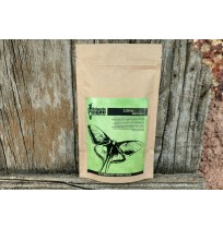 Filter Coffee (No Chicory) - Luna Roast