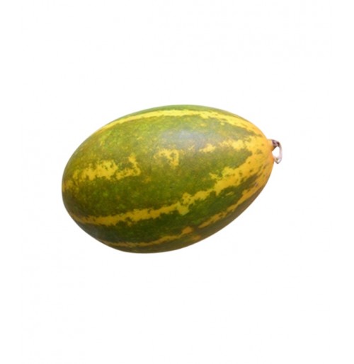 Cucumber - Yellow