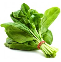 Palak (Spinach)