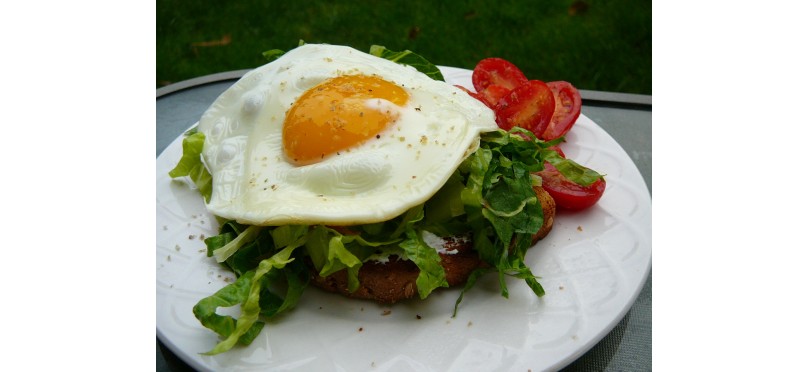 Egg Arugula Open Sandwich