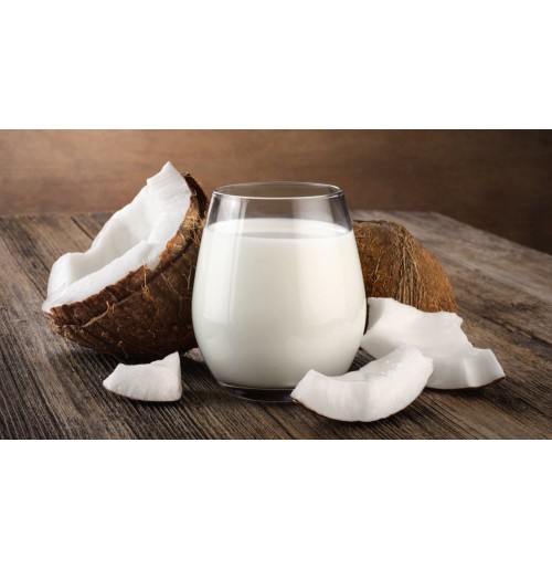 Coconut Milk 160ML