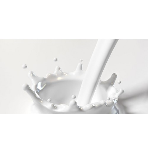 Desi Organic Milk  (Frozen/ Semi Frozen)  