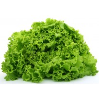 Lettuce Green 
