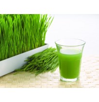 Wheatgrass (100gms, Harvested)